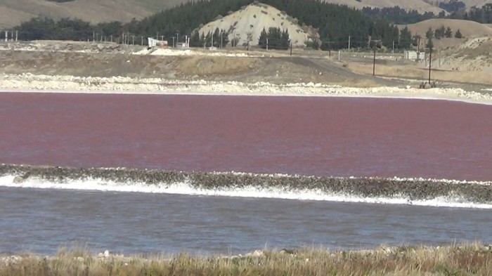 salt water lakes4