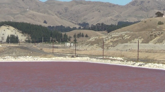 salt water lakes5