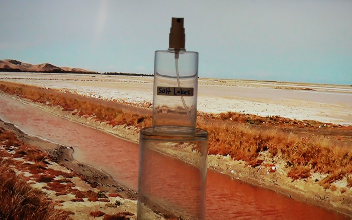 salt water pink 02