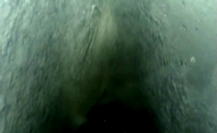 wave dissector